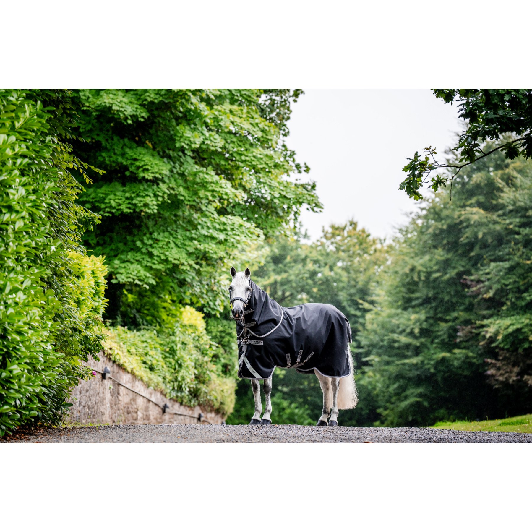 Horseware Amigo 1200D Plus 100g Horse Turnout, Black, Titanium Grey, Silver, 87-in