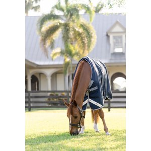Amigo 1200D 0g Horse Turnout, Navy, Titanium Grey, Silver, 81-in