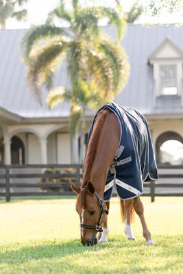 Show full view: Amigo 1200D 0g Horse Turnout, Navy, Titanium Grey, Silver, 78-in slide 7 of 7