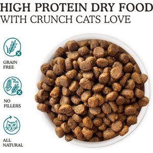 Cat Person by Weruva Salmon & Tuna Grain-Free Dry Cat Food, 4-lb bag