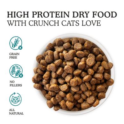 Show full view: Cat Person by Weruva Salmon & Tuna Grain-Free Dry Cat Food, 4-lb bag slide 6 of 11