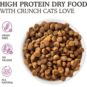 Cat Person by Weruva Duck & Turkey Grain-Free Dry Cat Food, 4-lb bag
