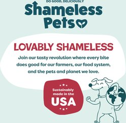 Shameless Pets Beef Up Meaty Tenders Soft & Chewy Dog Treats, 8-oz bag slide 2 of 6