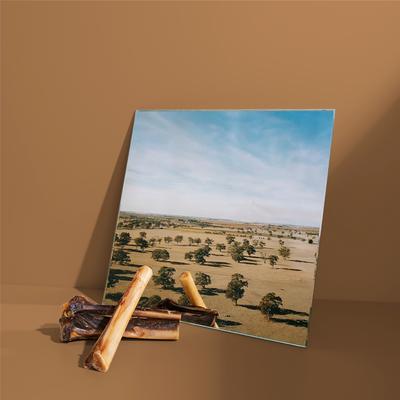 Show full view: Roam Kanga Chew Outback Kangaroo Dog Bones slide 6 of 6