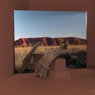 Show full view: Roam Billy Goat Horn Dog Bones slide 6 of 6