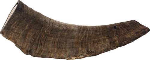 Show full view: Roam Billy Goat Horn Dog Bones slide 4 of 6