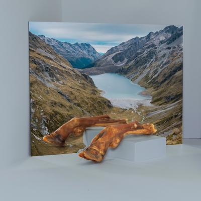 Show full view: Roam Billy Goat Dog Bones slide 6 of 6