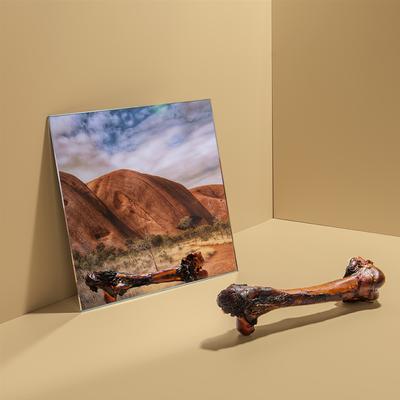 Show full view: Roam Large Chopper Outback Kangaroo Femur Dog Bone slide 6 of 7