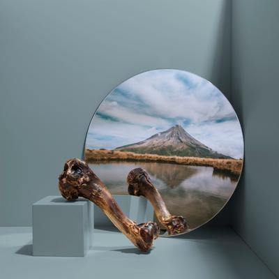 Show full view: Roam Funny Bone Grasslands Venison Dog Bones slide 6 of 6