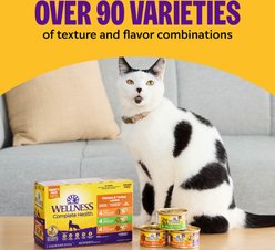 Wellness Complete Health Age Advantage Tuna & Salmon Pate Wet Cat Food, 3-oz can, 24 count slide 2 of 8