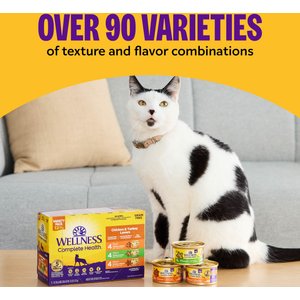 Wellness Complete Health Age Advantage Chicken Pate Wet Cat Food, 3-oz can, 24 count