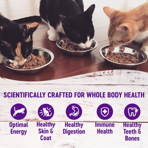 Show full view: Wellness Complete Health Healthy Indulgence Morsels with Chicken & Turkey in Savory Sauce Grain-Free Wet Cat Food Pouches, 3-oz, case of 24 slide 5 of 11
