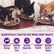 Show in main carousel: Wellness Complete Health Healthy Indulgence Morsels with Chicken & Turkey in Savory Sauce Grain-Free Wet Cat Food Pouches, 3-oz, case of 24 slide 5 of 11