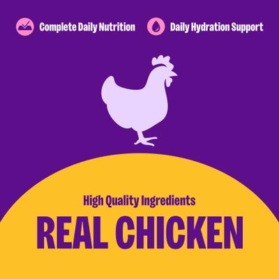 Wellness Complete Health Pate Chicken Entree Grain-Free Natural Canned Cat Food