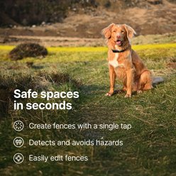 Halo Collar 5 New Wireless Waterproof Plastic Dog Fence & GPS Dog Collar, Sunburst slide 2 of 6