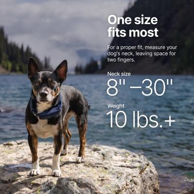 Show full view: Halo Collar 5 New Wireless Waterproof Plastic Dog Fence & GPS Dog Collar, Blaze slide 6 of 7