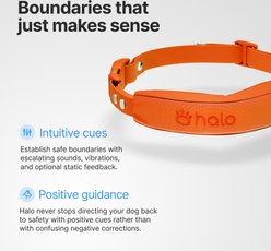 Halo Collar 5 New Wireless Waterproof Plastic Dog Fence & GPS Dog Collar, Blaze slide 2 of 6
