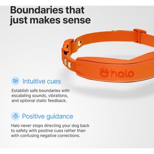 Halo Collar 5 New Wireless Waterproof Plastic Dog Fence & GPS Dog Collar, Blaze