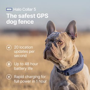 Halo Collar 5 New Wireless Waterproof Plastic Dog Fence & GPS Dog Collar, Blaze