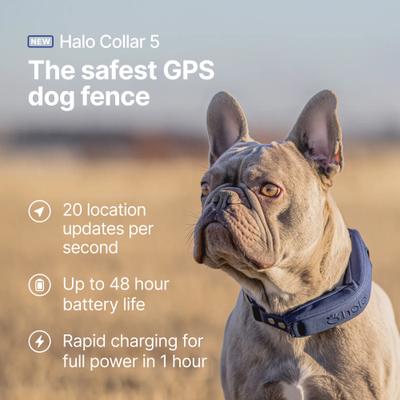 Show full view: Halo Collar 5 New Wireless Waterproof Plastic Dog Fence & GPS Dog Collar, Blaze slide 2 of 7