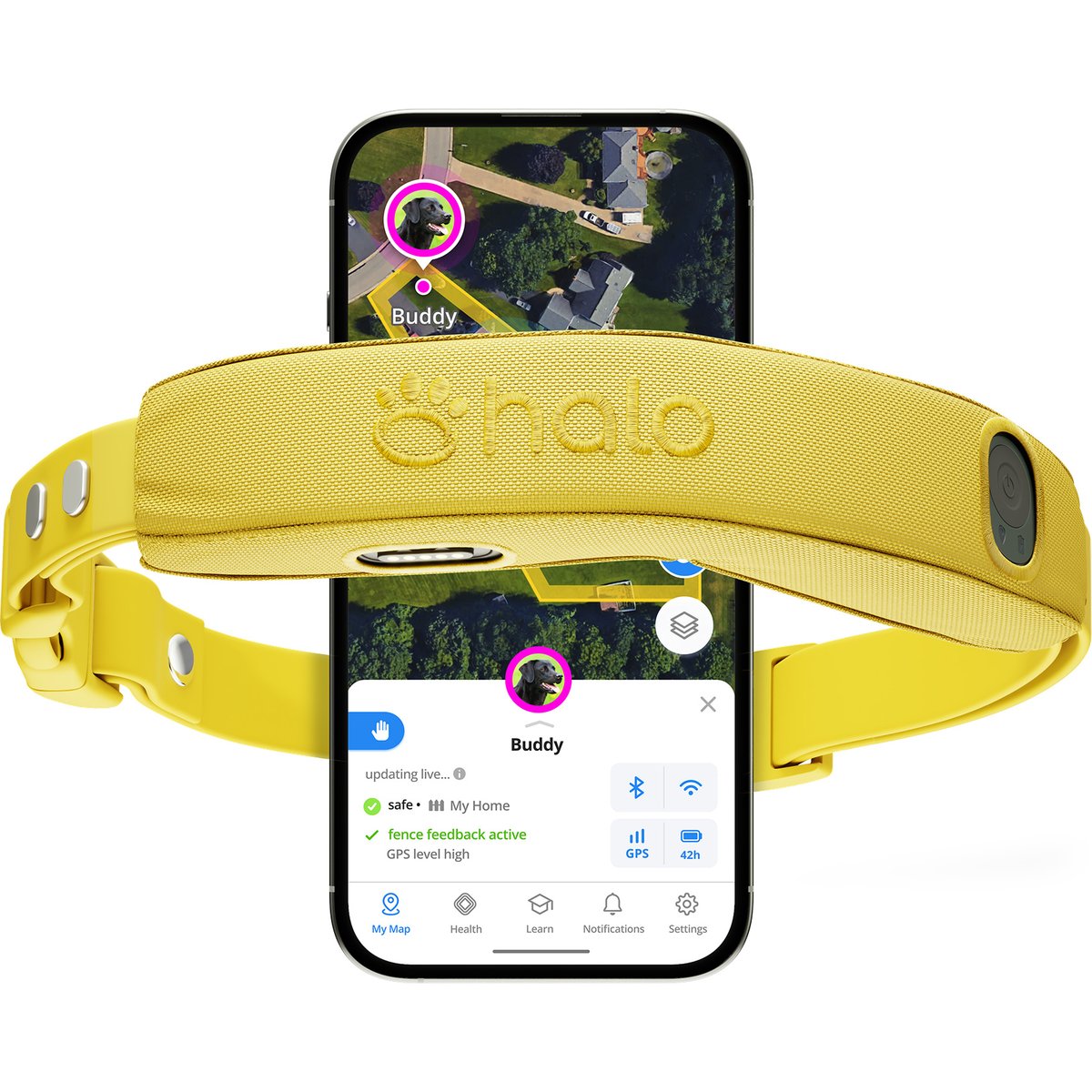 Halo Collar 5 Wireless Dog Fence System & GPS Collar, Sunburst