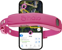 Halo Collar 5 New Wireless Waterproof Plastic Dog Fence & GPS Dog Collar, Orchid