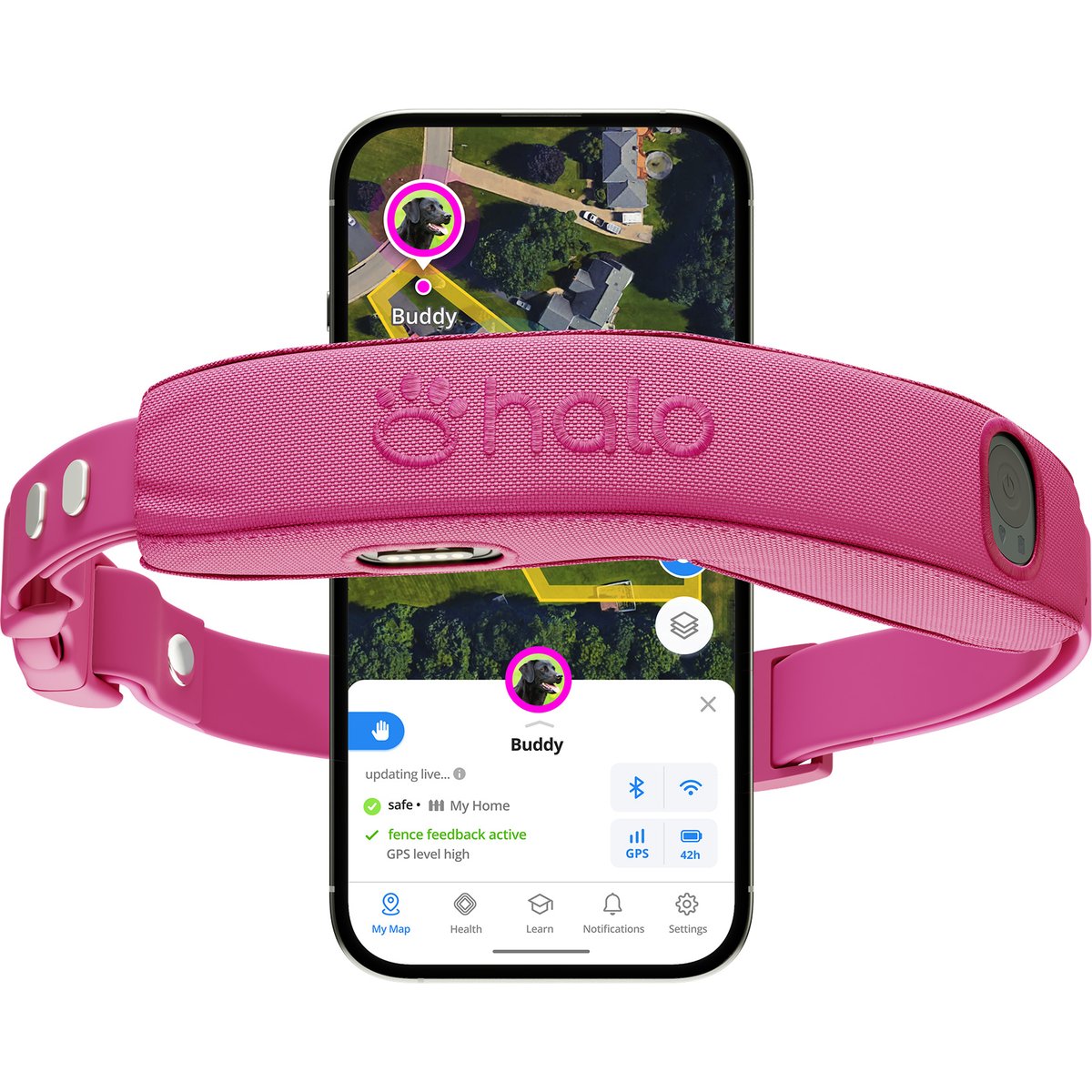 Halo Collar 5 Wireless Dog Fence System & GPS Collar, Orchid