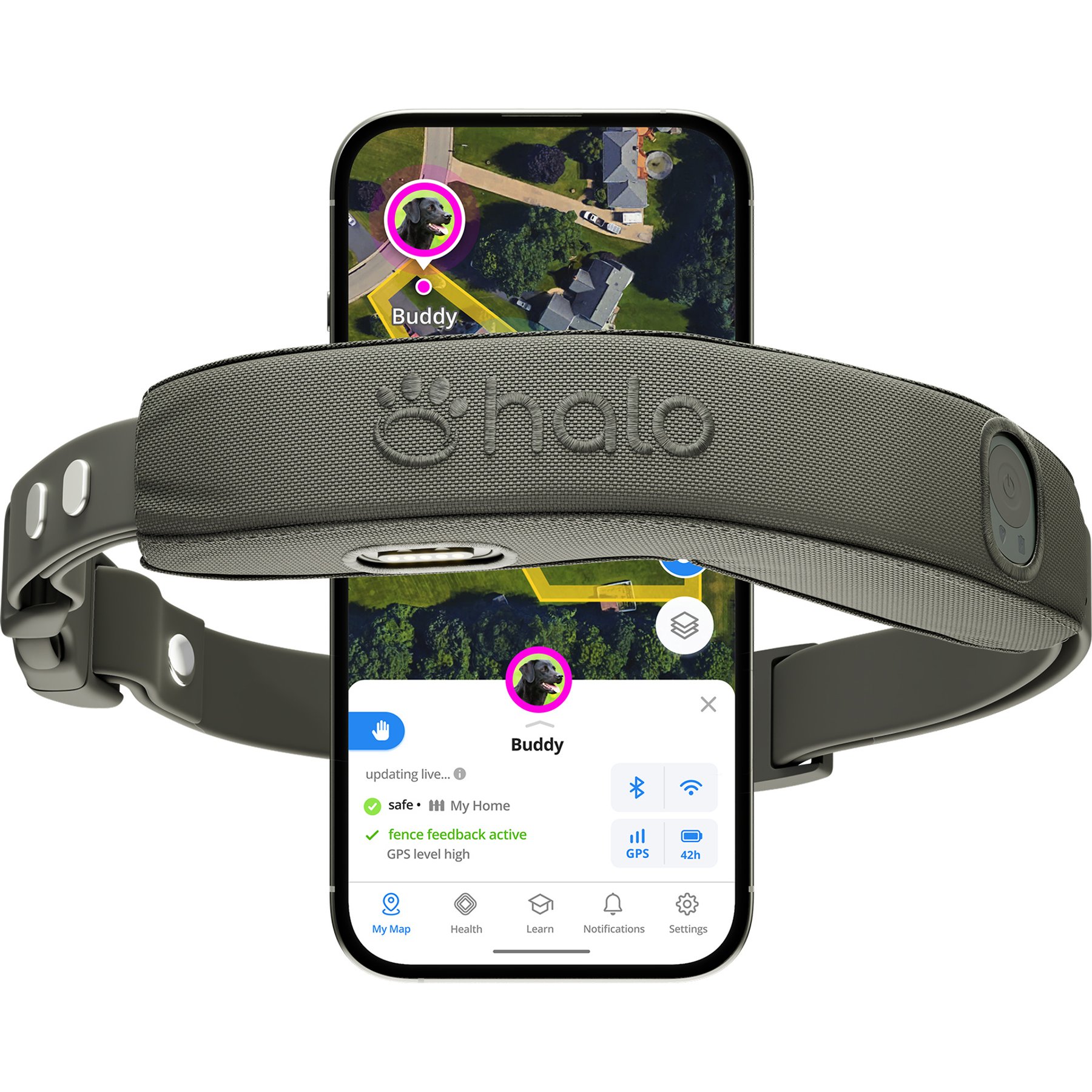 Halo Collar 5 Wireless Dog Fence System & GPS Collar, Graphite