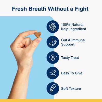 Show full view: ProDen Plaqueoff System Holistic Oral Care with Gut & Immune Support Adult Dental Dog Treats, 6-oz bag, count varies slide 4 of 9