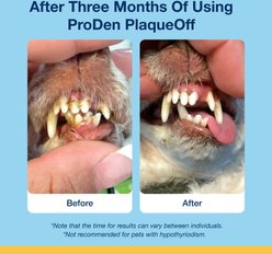 ProDen Plaqueoff System Holistic Oral Care Support Adult Dental Dog Treats, 6-oz bag, count varies slide 2 of 8
