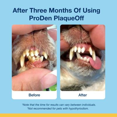 Show full view: ProDen Plaqueoff System Holistic Oral Care Support Adult Dental Dog Treats, 6-oz bag, count varies slide 9 of 9