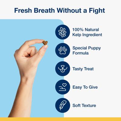 Show full view: ProDen Plaqueoff System Holistic Oral Care Puppy Dental Dog Treats, 6-oz bag, count varies slide 4 of 9