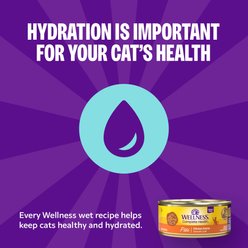 Wellness Complete Health Beef & Salmon Formula Grain-Free Canned Cat Food, 12.5-oz, case of 12 slide 2 of 9