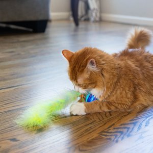 Catstages Roll & Chase Rechargeable Interactive Robot Cat Toy with Feather Teaser Tail