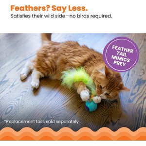 Catstages Roll & Chase Rechargeable Interactive Robot Cat Toy with Feather Teaser Tail