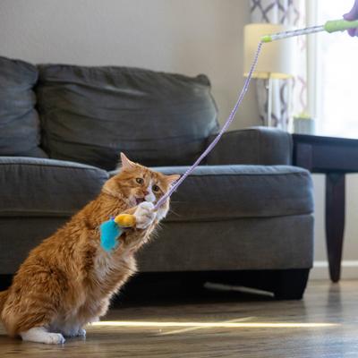 Show full view: Catstages Twinkle Star Light Up LED Cat Wand Toy with Feathers & Ribbon slide 7 of 8