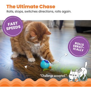 Catstages Roll & Chase Rechargeable Interactive Robot Cat Toy with Feather Teaser Tail