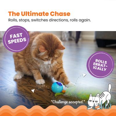 Show full view: Catstages Roll & Chase Rechargeable Interactive Robot Cat Toy with Feather Teaser Tail slide 2 of 7