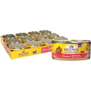 Wellness Complete Health Natural Grain-Free Gravies Salmon Entree Canned Cat Food, 5.5-oz, case of 12