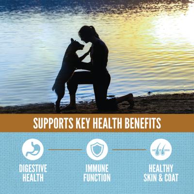 Show full view: ORIJEN Amazing Grains Six Fish High-Protein Dry Dog Food, 4-lb bag slide 5 of 13