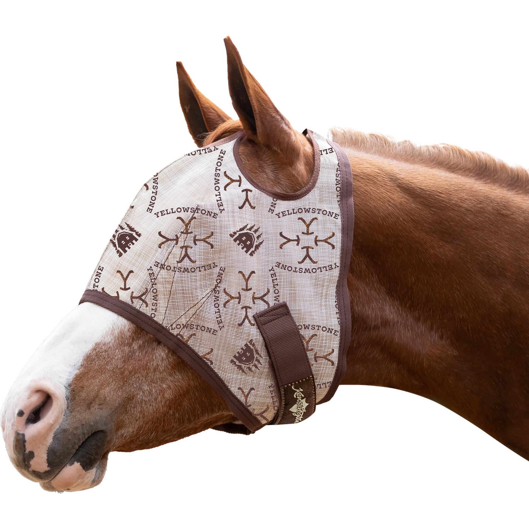 Kensington Protective Products Horse Fly Mask with Web Trim, Yellowstone, Warmblood