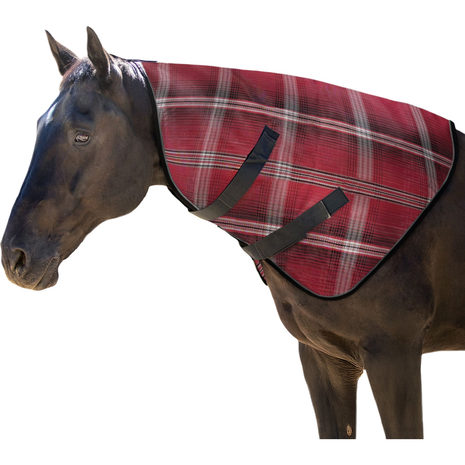 Kensington Protective Products Horse Fly Sheet Neck Piece, Merlot, Cob/Arab
