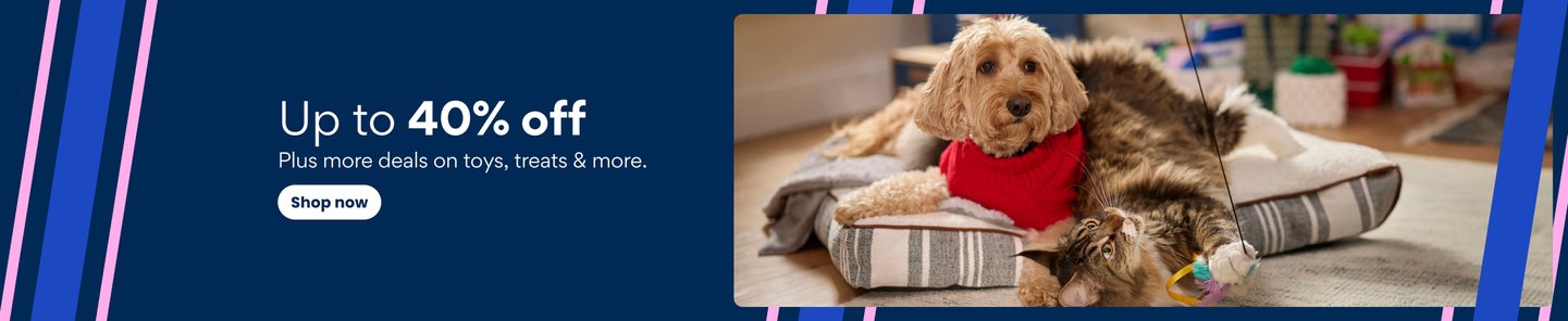Up to 40% off plus more deals on toys, treats & more. Shop now