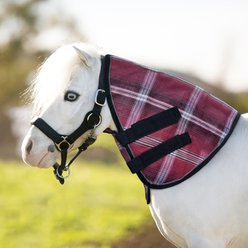 Kensington Protective Products Miniature Horse Fly Sheet Neck Piece, Merlot slide 2 of 7