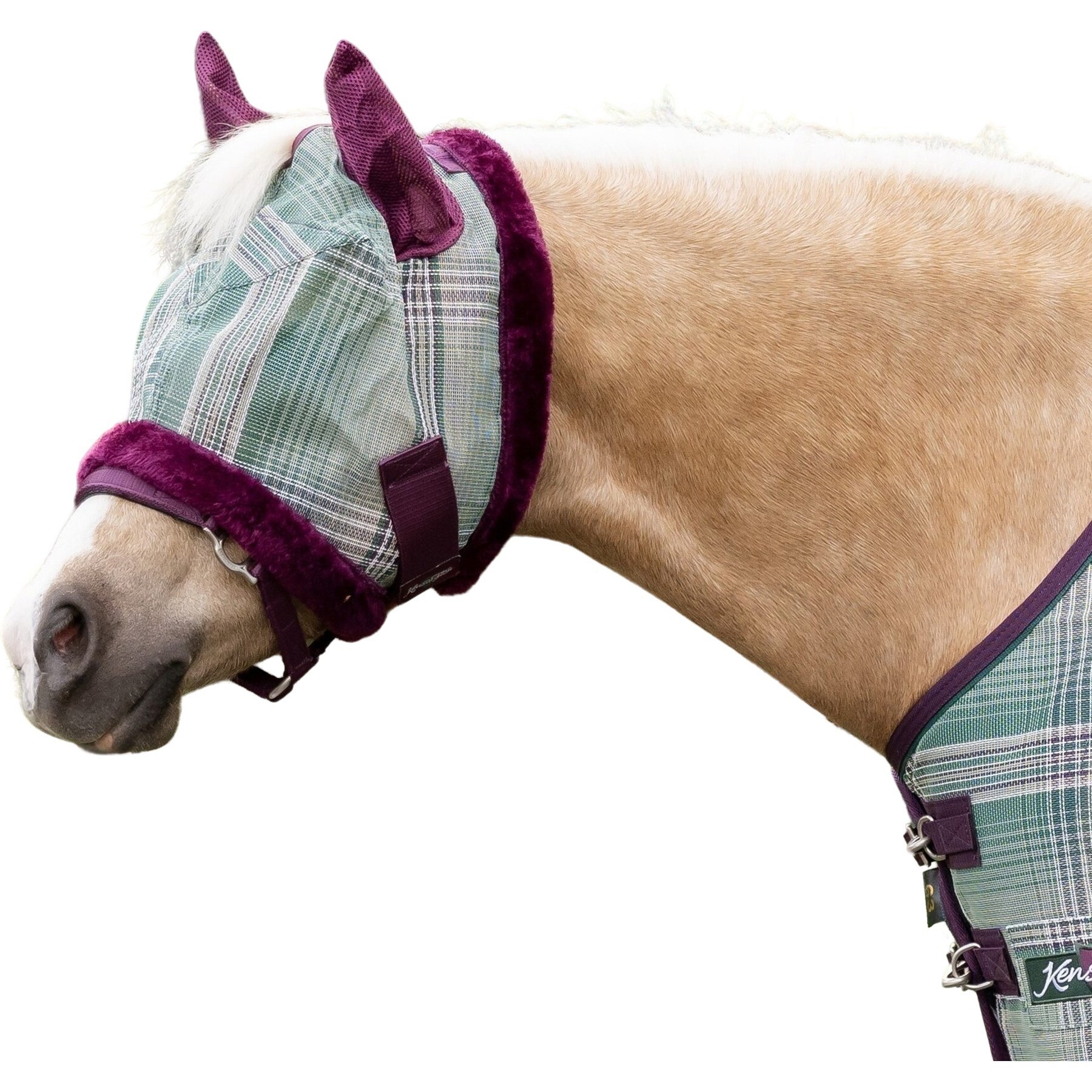 Kensington Protective Products Mini & Pony Fly Mask with Soft Ears & Fleece Trim, Imperial Jade, Pony