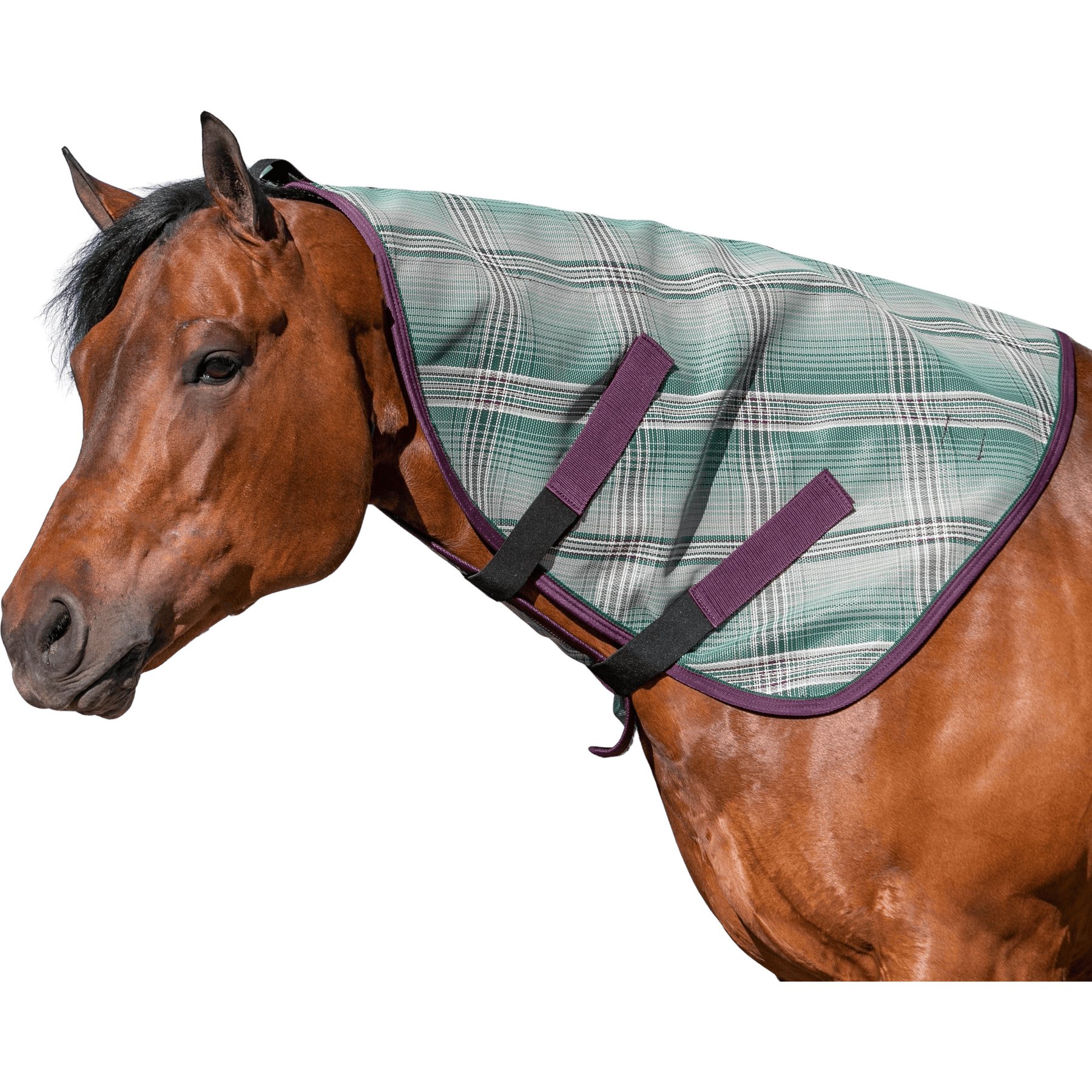 Kensington Protective Products Horse Fly Sheet Neck Piece, Imperial Jade, Warmblood