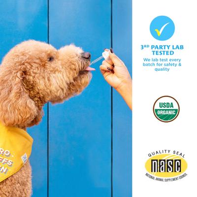 Show full view: Chill Paws Organic 500mg Full Spectrum Hemp Extract Tincture Calming Supplement for Dogs, 1-fl oz bottle slide 6 of 6