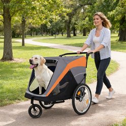 Yafylly 2-in-1 Bike Trailer & Push Cart for Pets with Dual Cup Pockets, Large, Grey/Black