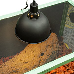 REPTI ZOO Light Weight Enclosure Reptile Terrarium, Green, 40-gal: 36 x 18 x 18-in