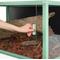 Show in main carousel: REPTI ZOO Light Weight Enclosure Reptile Terrarium, Green, 40-gal: 36 x 18 x 18-in slide 4 of 10